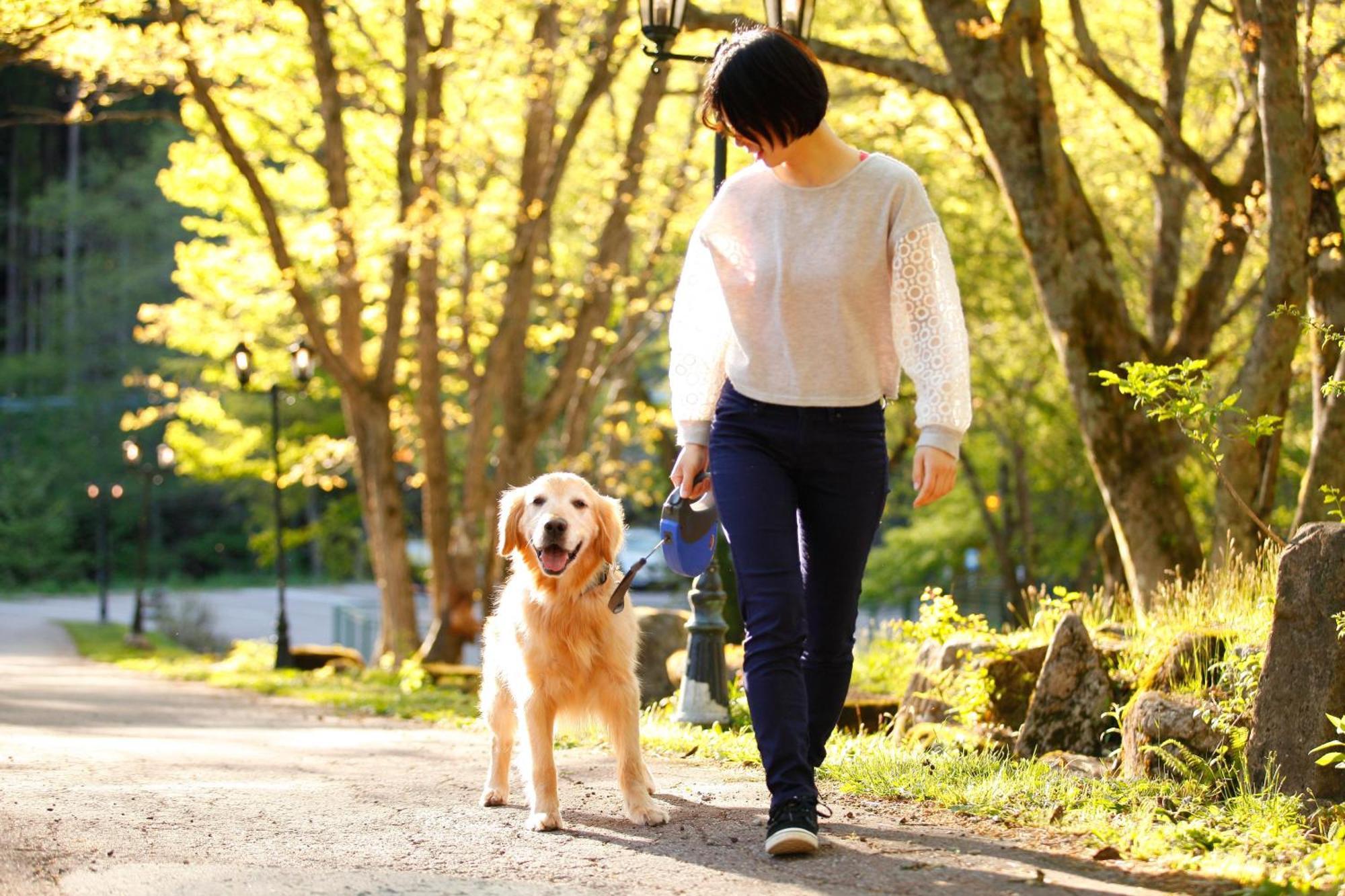 Izumigo Takayama Dog Paradise Hotel Exteriér fotografie
