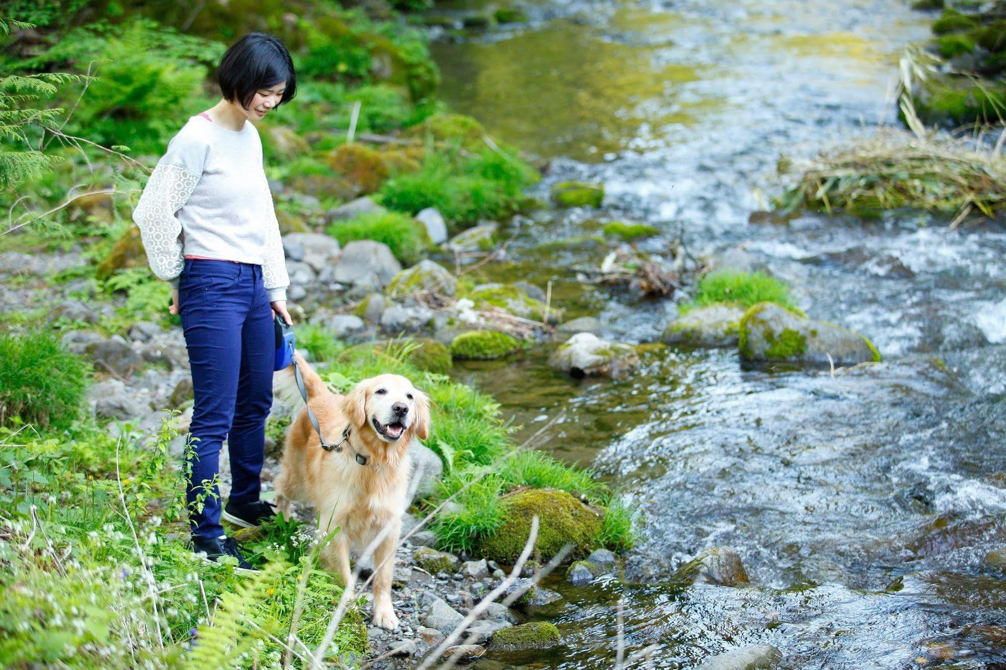 Izumigo Takayama Dog Paradise Hotel Exteriér fotografie